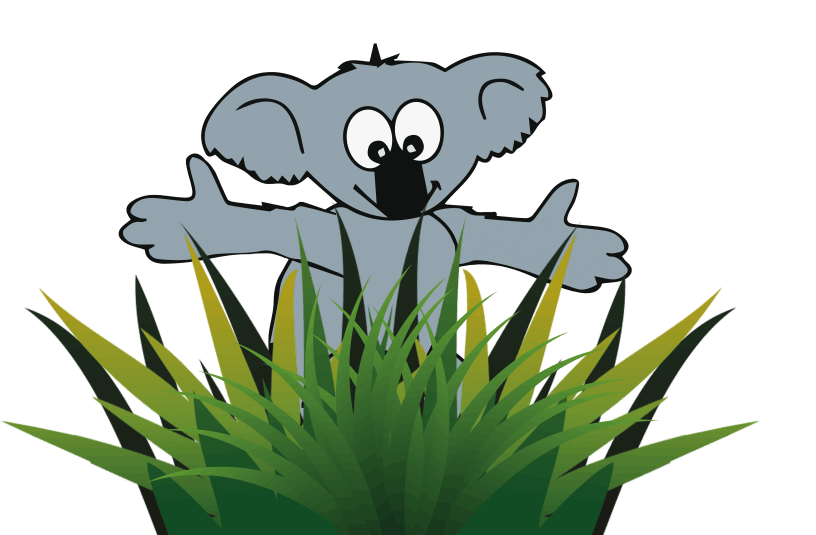 Koala steht hinter einem Busch